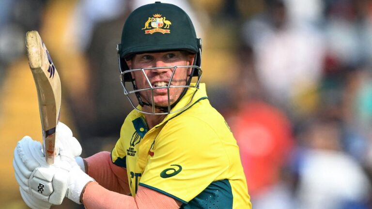Warner to miss T20I series against India after World Cup win