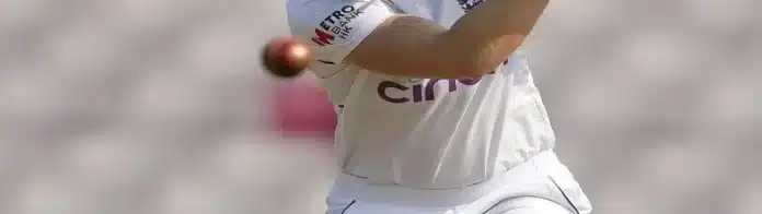 CricketAddictor